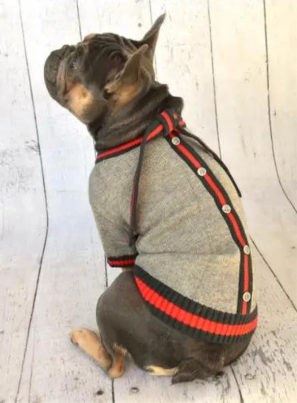Luxe Stripe Tie Dog Sweater << FINAL SALE >> Wear BELLA BEAN   