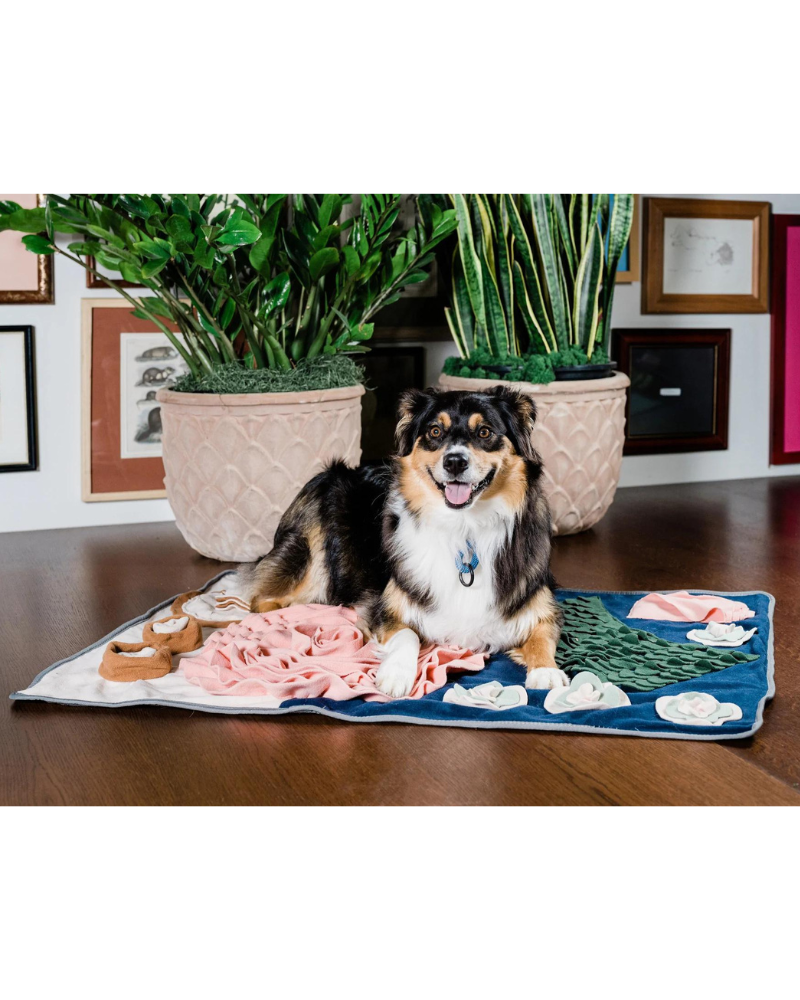 Dinner Table Snuffle Feeding Toy for Dogs & Cats Play INJOYA   