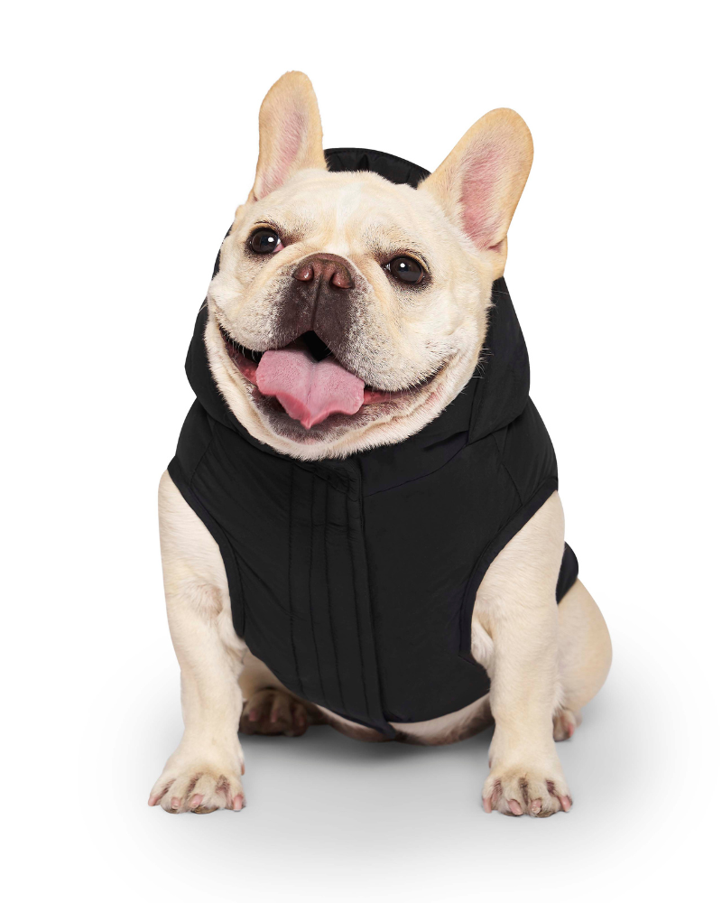 Insulated Waterproof Dog Puffer in Black Wear CANADA POOCH   