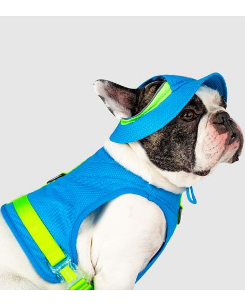 Chill Seeker Cooling Dog Hat << CLEARANCE >> Wear CANADA POOCH   
