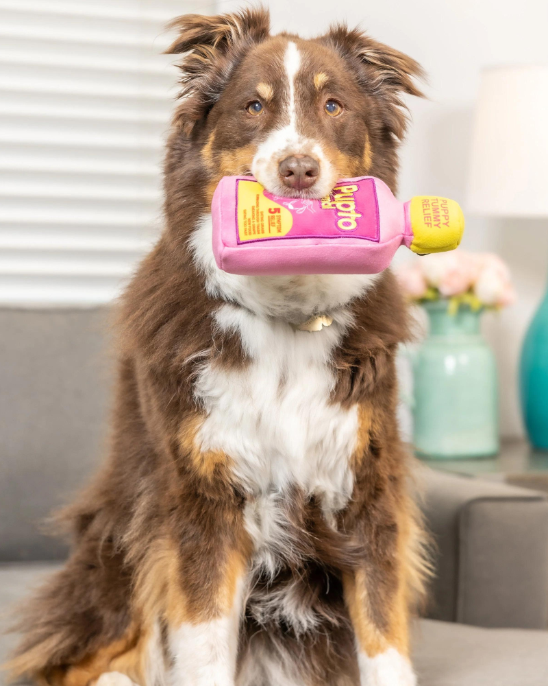 Pupto Dismal Squeaky Plush Dog Toy Play Huxley & Kent   