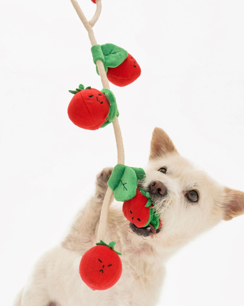 Cherry Tomato Nose Work & Tug Dog Toy Play THE FURRYFOLKS   