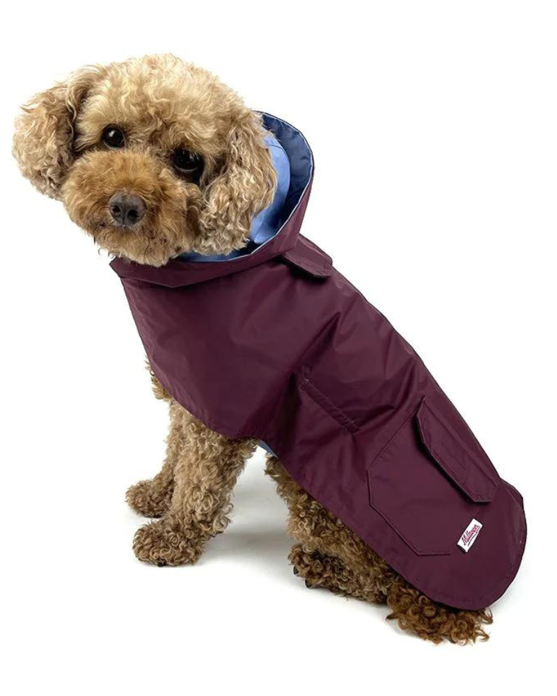 Reversible Rain Coat in Blue & Cabernet (FINAL SALE) Wear MILLTOWN BRAND   