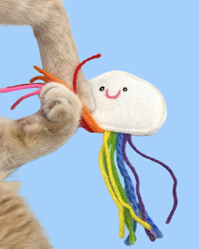 Catnip Rainbow Cloud Toy CAT THE PUNCHY CAT   