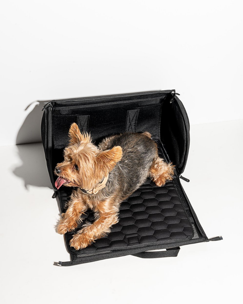 All-Travel Pet Carrier in Black Carry WILD ONE   