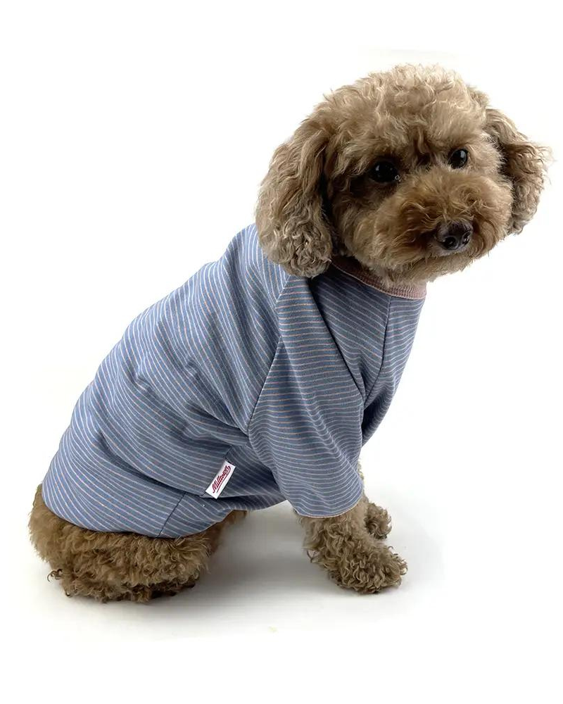 Rib Dog T-Shirt in Baby Blue & Pink Stripe (FINAL SALE) Wear MILLTOWN BRAND   