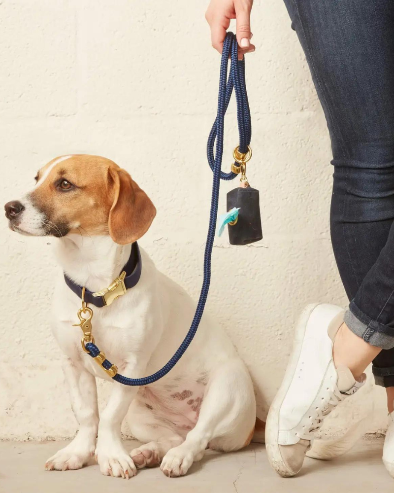Ocean Waxed Waste Bag Dispenser (Made in the USA) WALK THE FOGGY DOG   