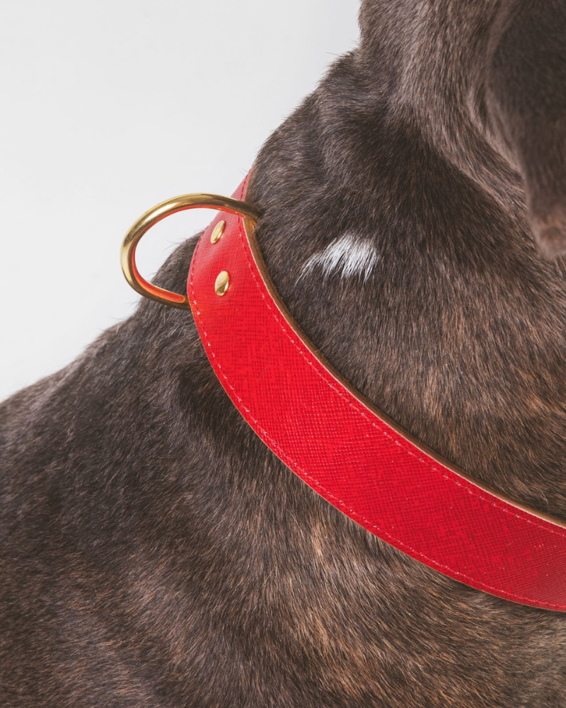 Moni Dog Collar in Red Leather (Made in Italy) Dog Collars BRANNI   