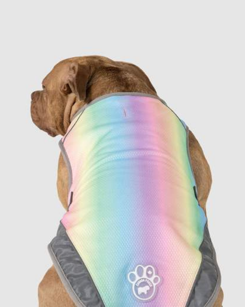 Chill Seeker Cooling Dog Vest in Rainbow << CLEARANCE >> Wear CANADA POOCH   