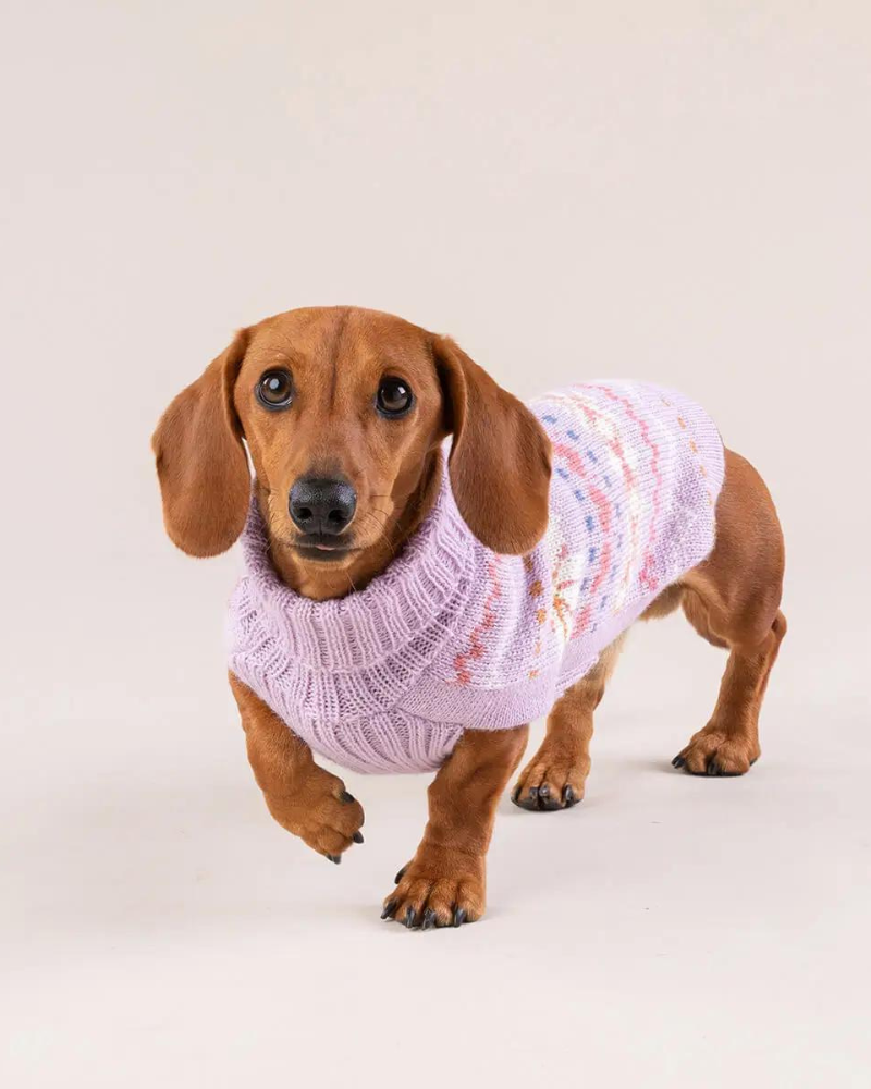 Lavender Sunrise Alpaca Blend Dog Sweater (FINAL SALE) Wear ALQO WASI   