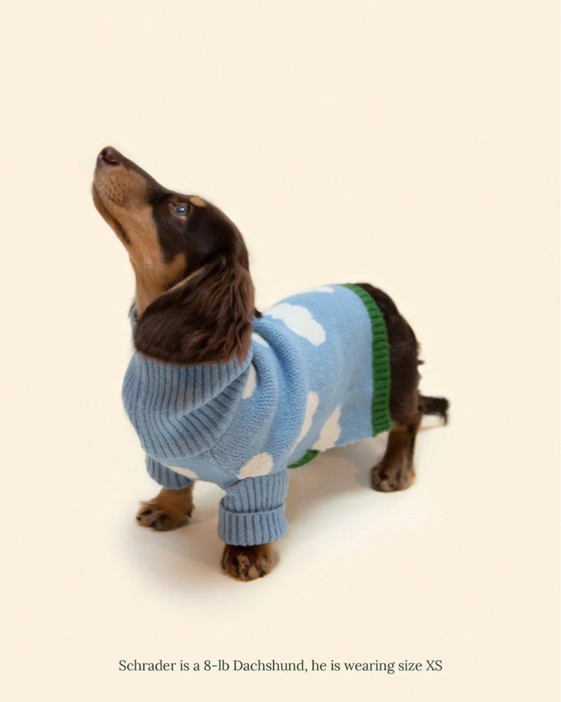 Silver Linings Dog Sweater Wear LITTLE BEAST   