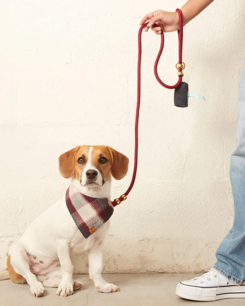 Wine Marine Rope Dog Leash<br> (Made in the USA) (FINAL SALE) Dog Supplies THE FOGGY DOG   