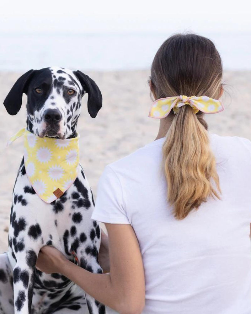 Fun in the Sun Dog Bandana (Made in the USA) (FINAL SALE) Wear THE FOGGY DOG   