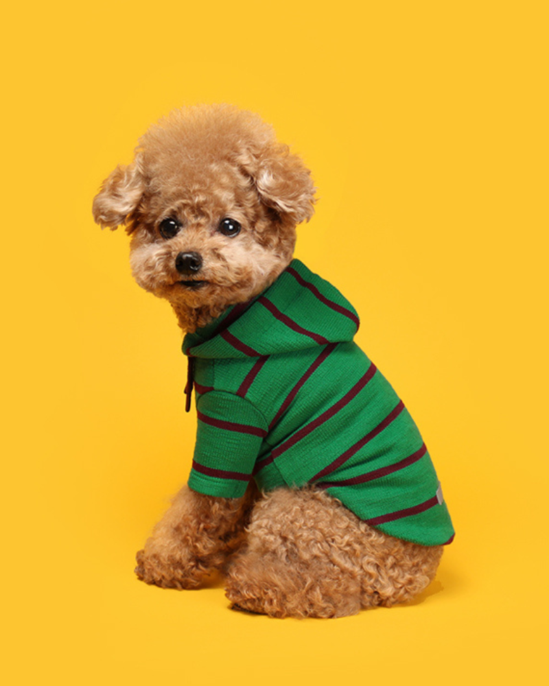 Stripe Dog Hoodie (FINAL SALE) Wear HUTS & BAY   