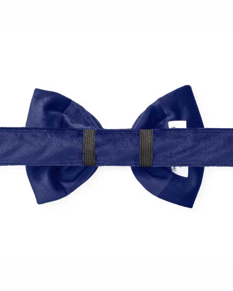 Navy Velvet Dog Bow-Tie (Made in the USA) (FINAL SALE) Wear THE FOGGY DOG   