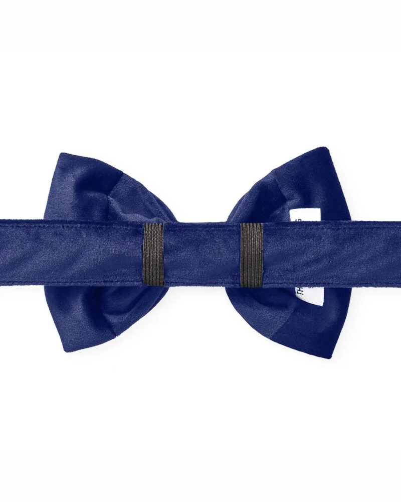 Navy Velvet Dog Bow-Tie (Made in the USA) Wear THE FOGGY DOG   