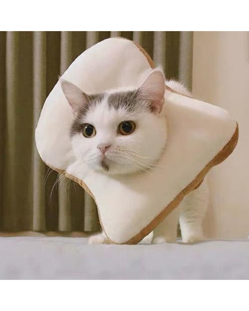 Small Dog or Cat Bread Cone Wear PAWSOME PETS   