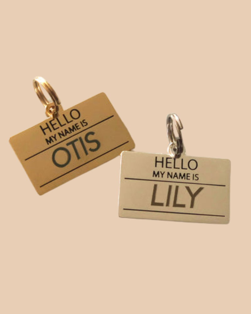 Hello, My Name Is ID Tag (Custom/Drop-Ship) (Made in the USA) Accessories TWO TAILS PET COMPANY   