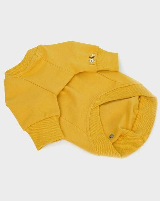 Adventure Sweatshirt in Sahara Yellow (FINAL SALE) Dog Apparel HOWLPOT   