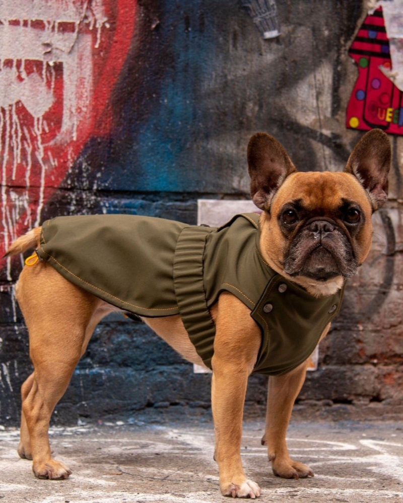 Brownie Waterproof Raincoat in Olive Wear KIZZOU   