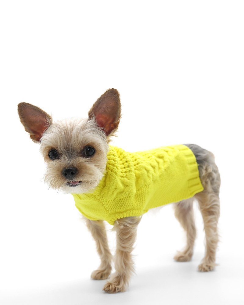 Mix Knit Dog Sweater in Sunshine Yellow<br>(FINAL SALE) Wear DOGO   