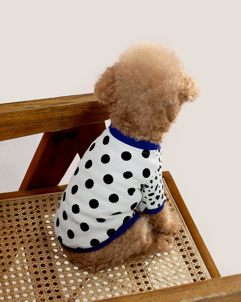 Dalmatian Dot Cardigan for Dogs (FINAL SALE) Wear HUTS & BAY   