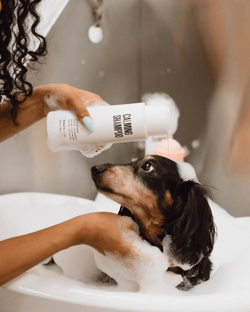 Calming Shampoo for Dogs & Cats HOME MAXBONE   