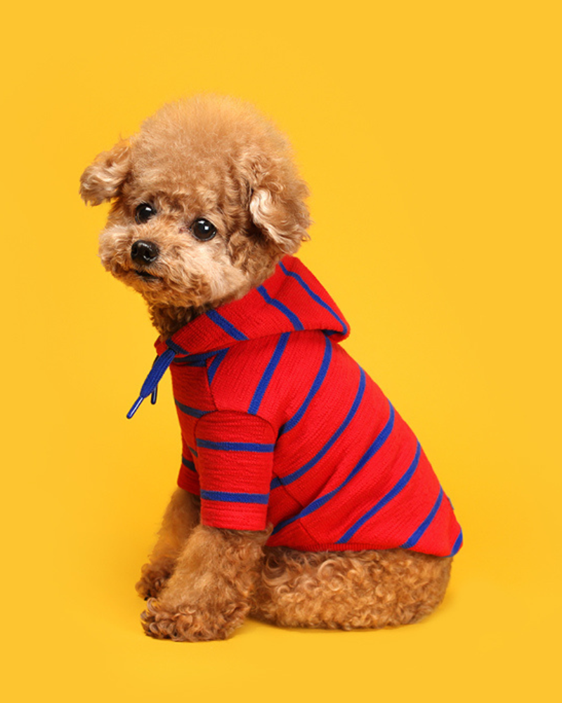 Stripe Dog Hoodie (FINAL SALE) Wear HUTS & BAY   