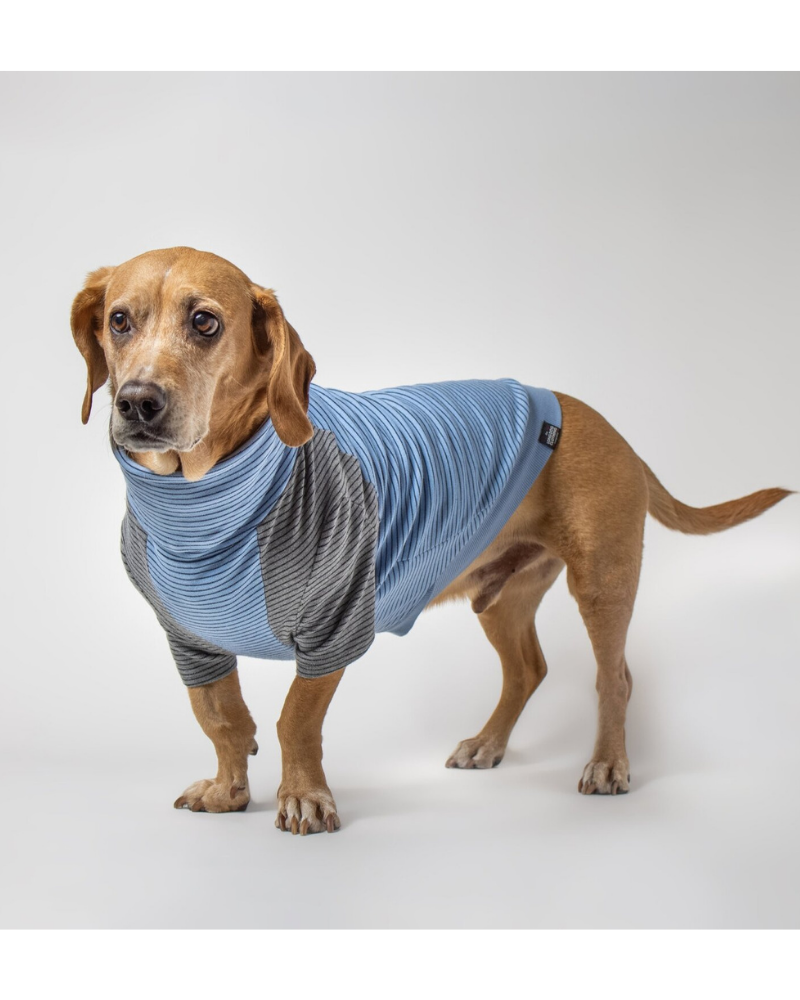The Marlin Organic Cotton T-Shirt for Long Dogs (Made in the USA) << FINAL SALE >> Wear LONG DOG CLOTHING   