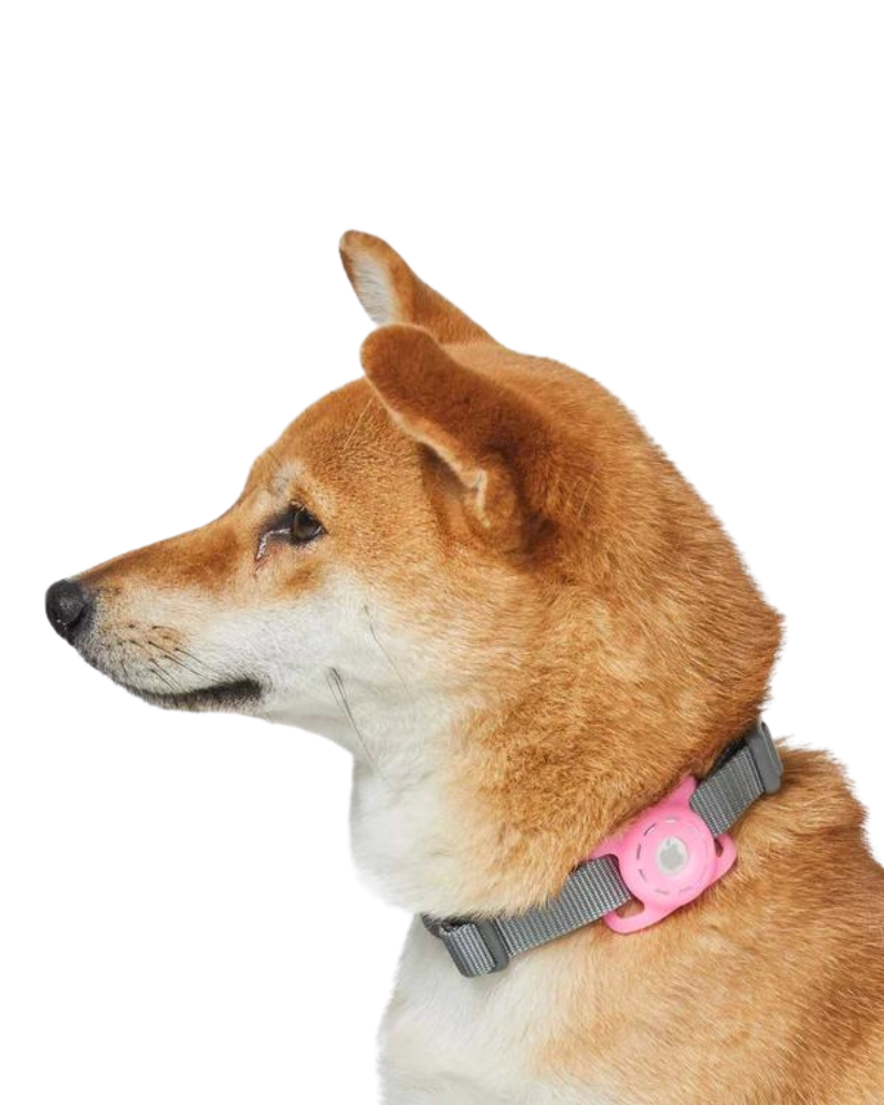 AirTag Holder For Pet Collar WALK DOGS & CATS & CO. Light Pink  