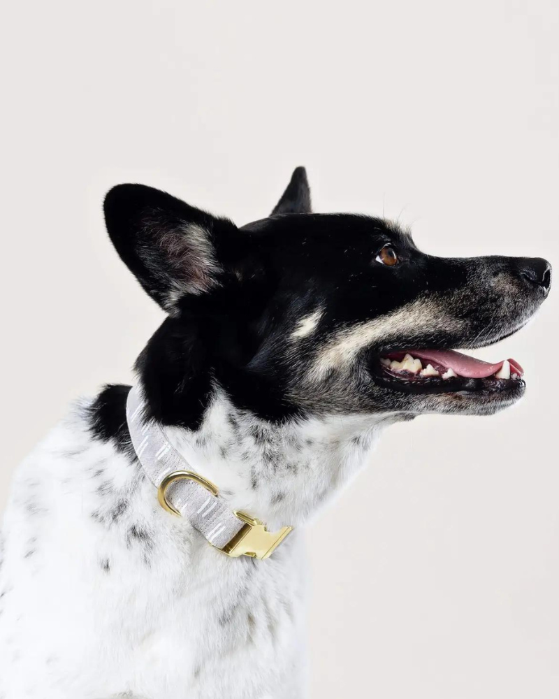 Flax Lines Boho Dog Collar (Made in the USA) (FINAL SALE) WALK THE FOGGY DOG   