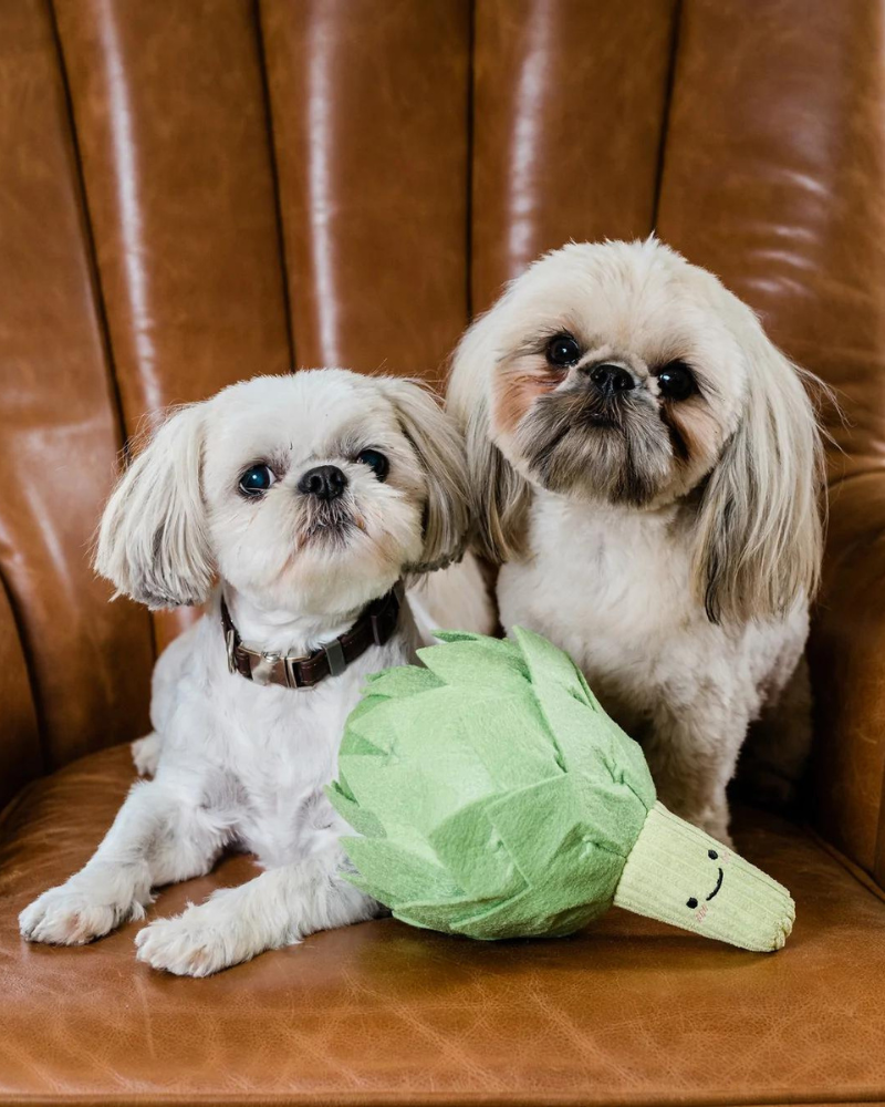 INJOYA | Snail Dog Toy Interactive & Snuffle | DOG & CO.