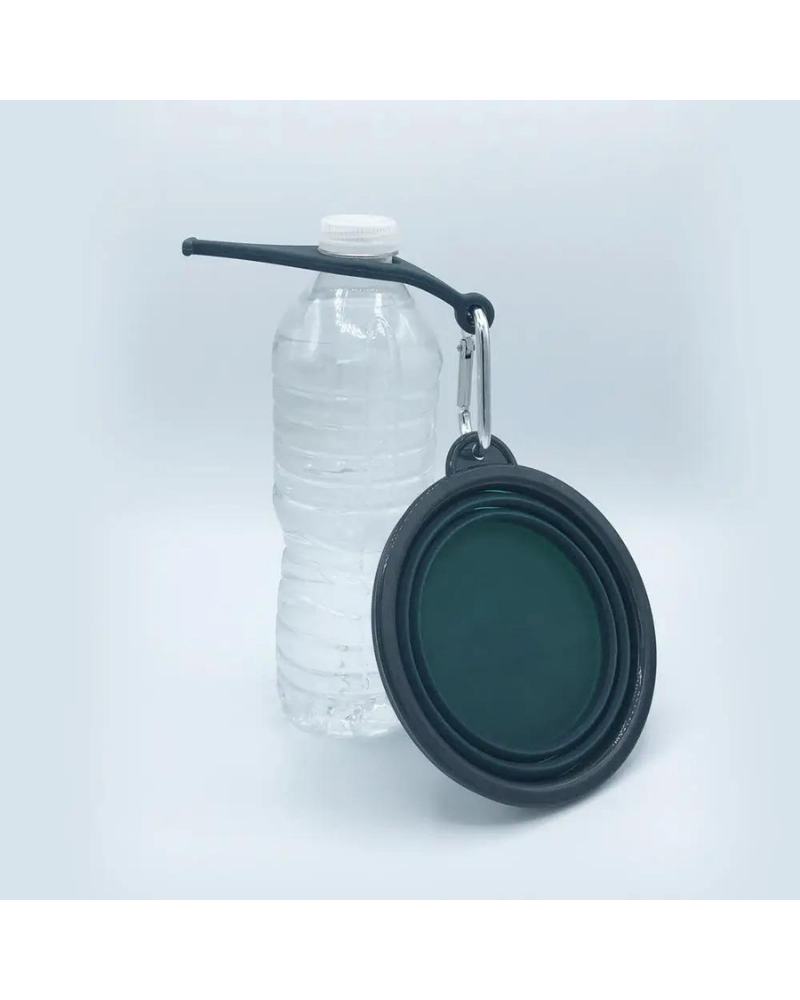 Single Travel Dog Bowl in Forest Green WALK BASIC STUDIO   