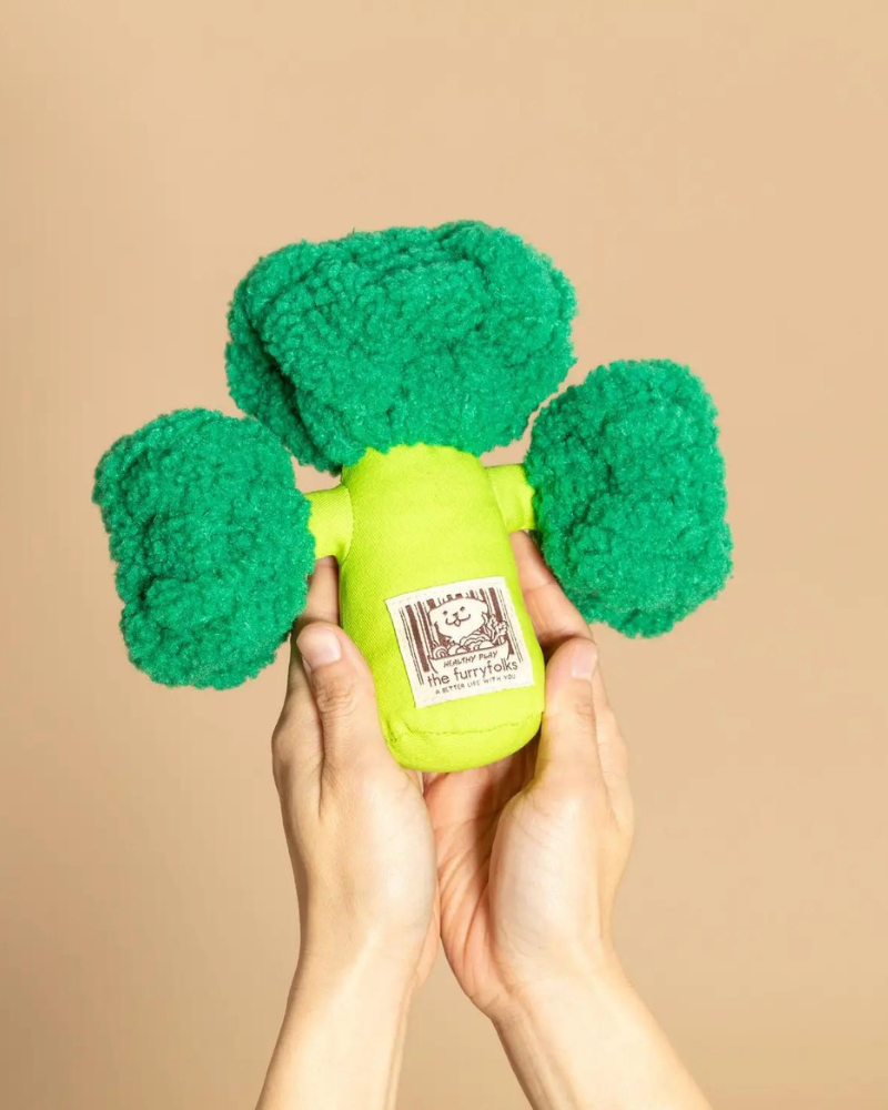 Broccoli Nosework Dog Toy Play THE FURRY FOLKS   