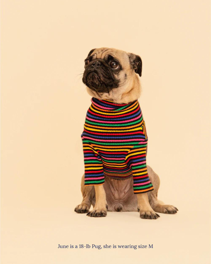 Fantastic Ribbed Dog Pullover (FINAL SALE) Wear LITTLE BEAST   