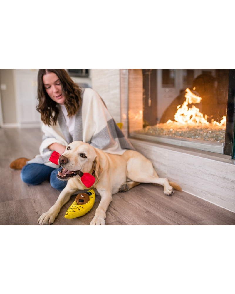 K9 Kayak Squeaker Dog Toy Play P.L.A.Y.   