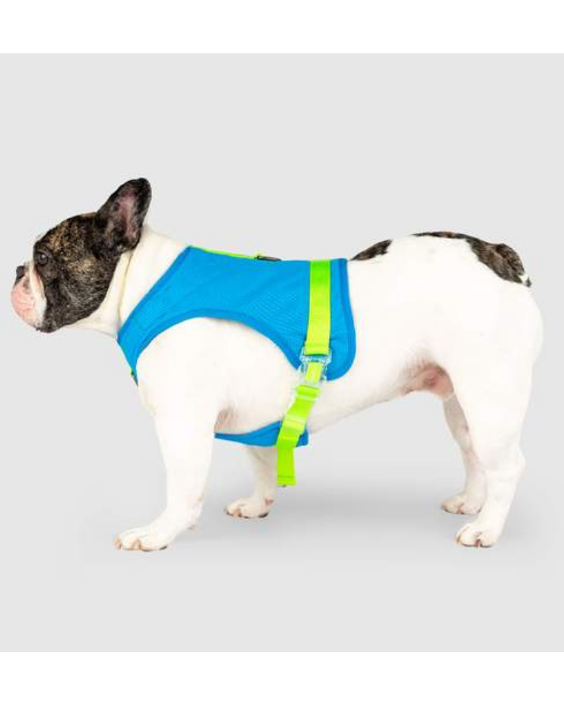Chill Seeker Cooling Dog Harness in Blue and Green << CLEARANCE >> WALK CANADA POOCH   