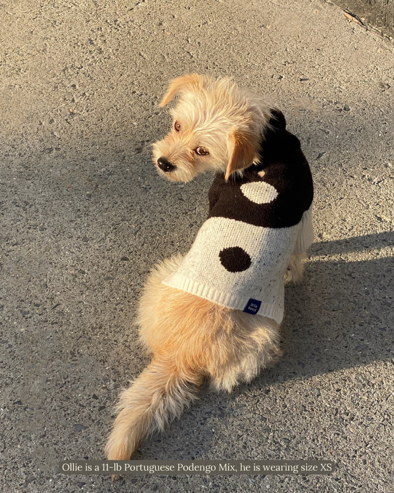 U + Me Dog Sweater (FINAL SALE) Wear LITTLE BEAST   