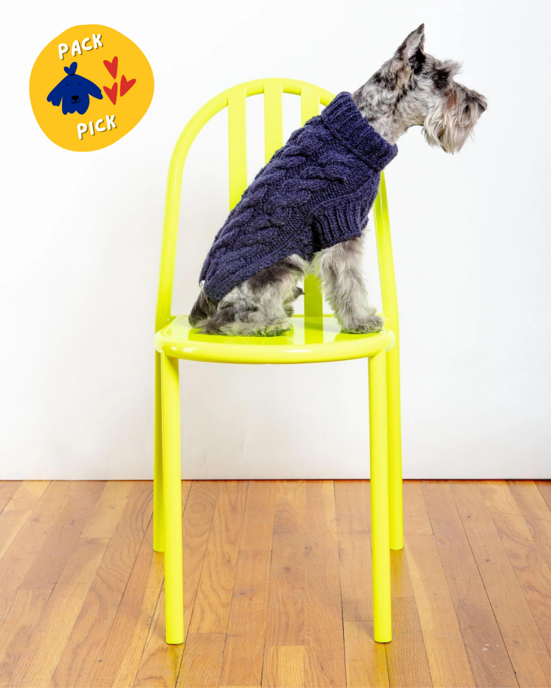 Downtown Roll Neck Dog Sweater in Navy wear DOG & CO. COLLECTION   