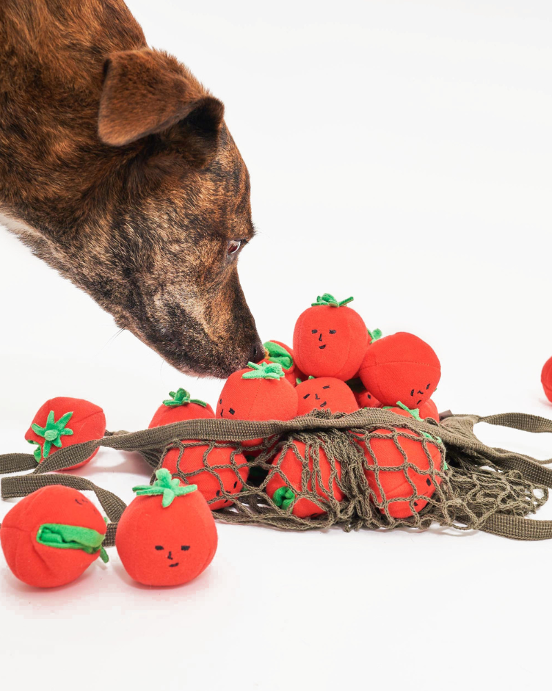 Cherry Tomato Nose Work & Tug Dog Toy Play THE FURRYFOLKS   