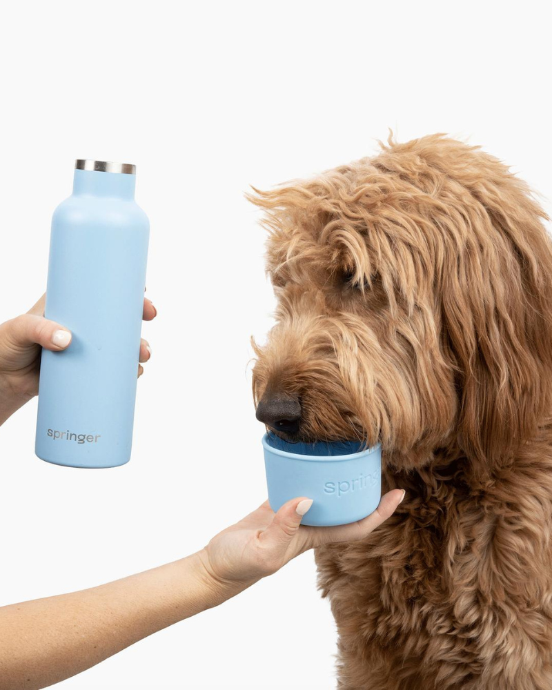 Dog & Me Water Bottle w/ Bowl in White (24oz) eat SPRINGER   