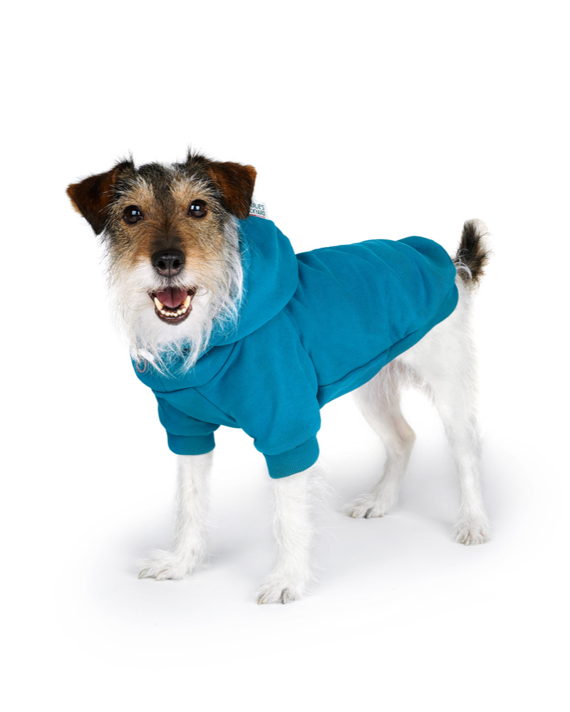 Dog Hoodie in Teal (CLEARANCE) Wear CHARLIE'S BACKYARD   