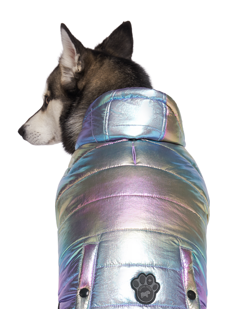 Shiny Puffer Dog Coat in Iridescent << FINAL SALE >> Wear CANADA POOCH   