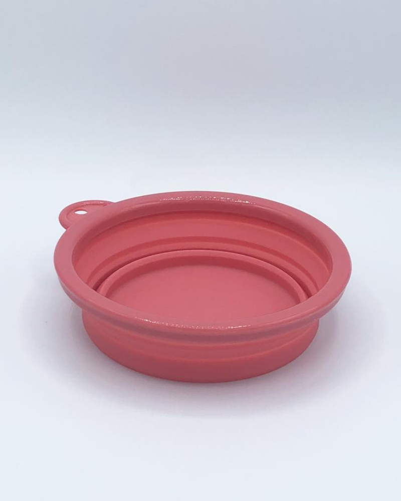 Single Travel Dog Bowl in Pink Dog Supplies BASIC STUDIO   