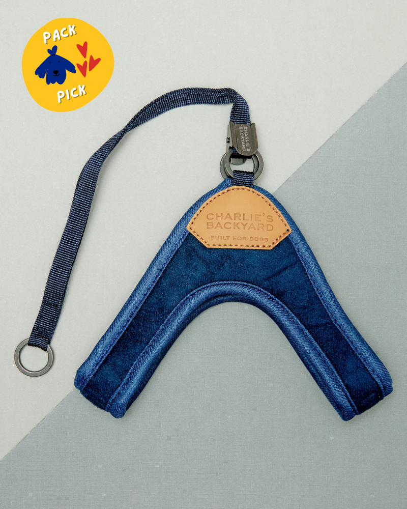 Adjustable Easy Dog Harness in Navy WALK CHARLIE'S BACKYARD   