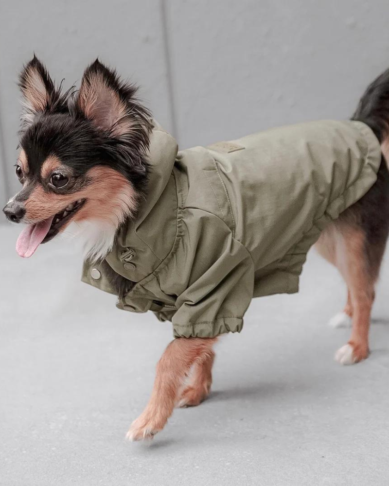 LAMBWOLF | Brooklyn Nylon Water Resistant Dog Jacket | DOG & CO.
