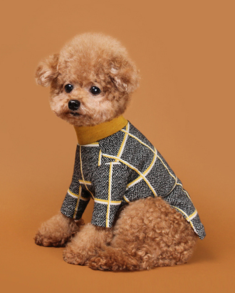 Check Tee for Dogs in Mustard Yellow (FINAL SALE) Wear HUTS & BAY   