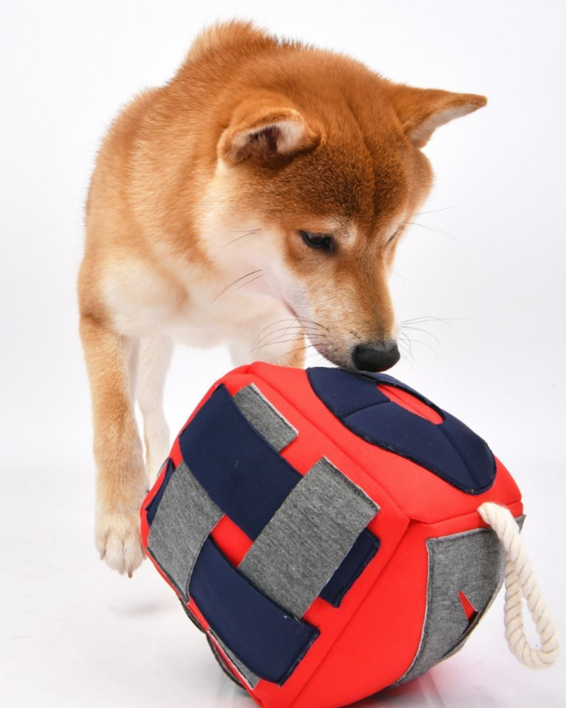 Roller Interactive Nosework Dog Toy in Navy Play PUPPIA   