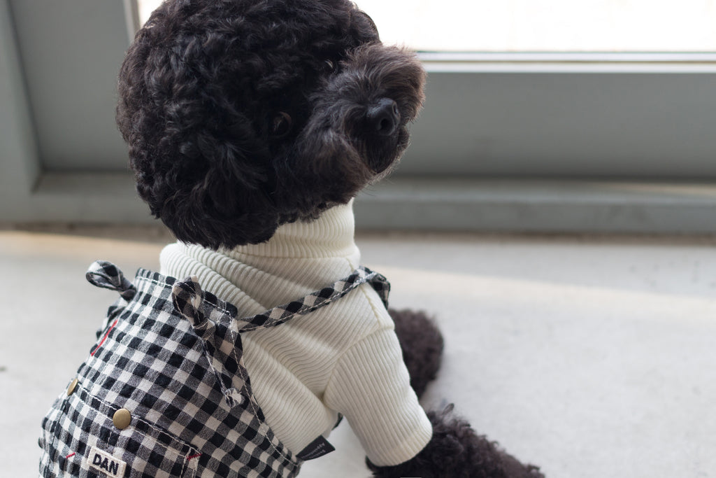 DENTISTS APPOINTMENT | Gingham Check Overall in Black & White Apparel DENTISTS APPOINTMENT   