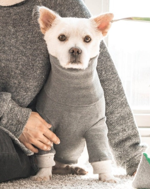 High V-Neck Pullover in Light Grey<br>((FINAL SALE)) Wear THE FURRY FOLKS   